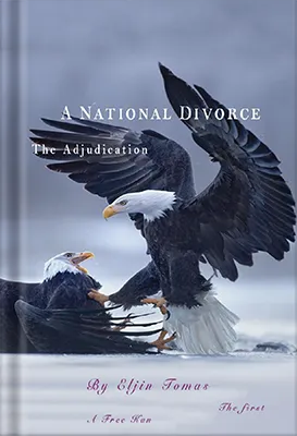 A-National-Divorce-2021 by Aspiring Author Hub